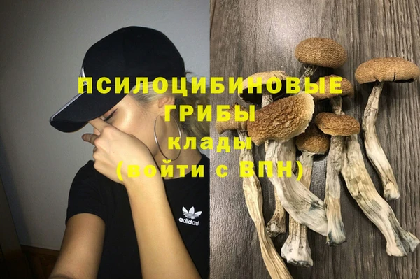 таблы Гусь-Хрустальный