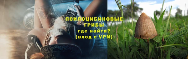 не бодяженный Лабытнанги