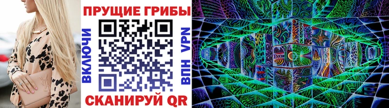 Галлюциногенные грибы Magic Shrooms продажа наркотиков Калининск
